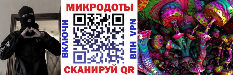 Псилоцибиновые грибы Psilocybe  продажа наркотиков  Хадыженск 