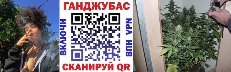 Бошки марихуана Bruce Banner  mega зеркало  Хадыженск 